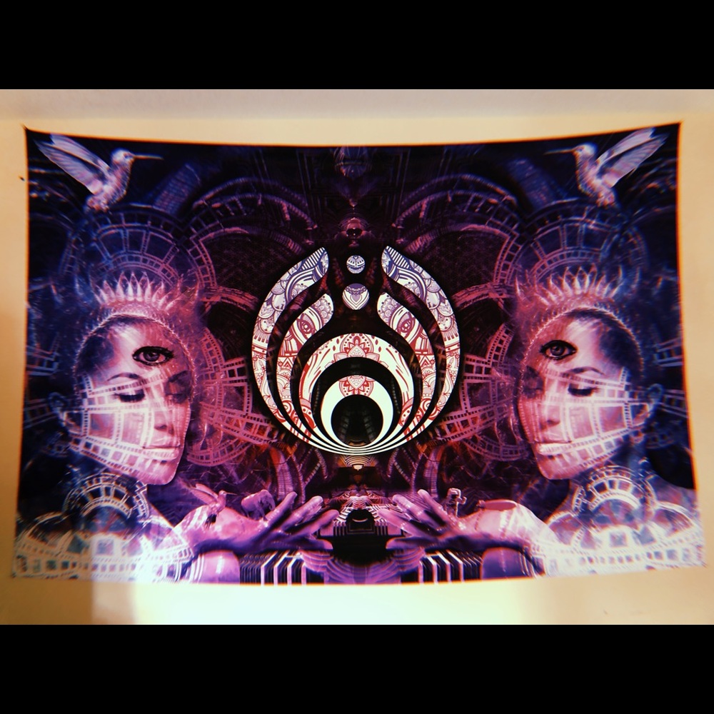 Bassnectar third eye tapestry